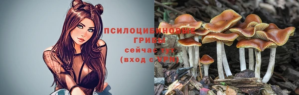 ALPHA-PVP Алексеевка