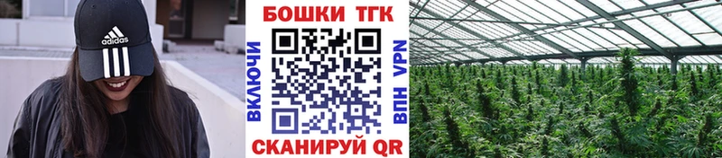 Бошки марихуана марихуана Батайск